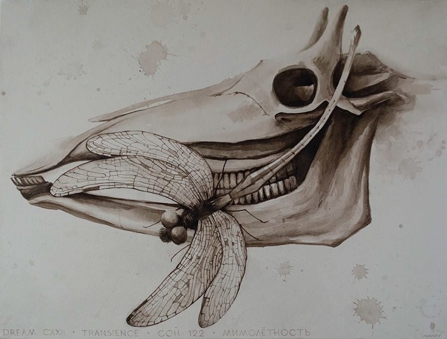 Dream 122. Мимолётность